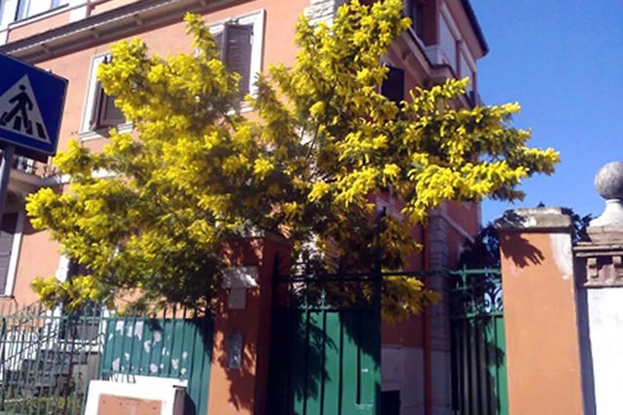 Garden Flat By Vatican Walls Rome